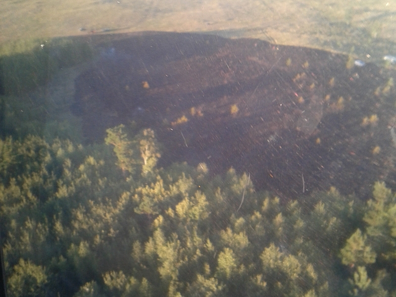 21 августа 2016 года на охраняемой территории Аккольского КГУ произошел пожар