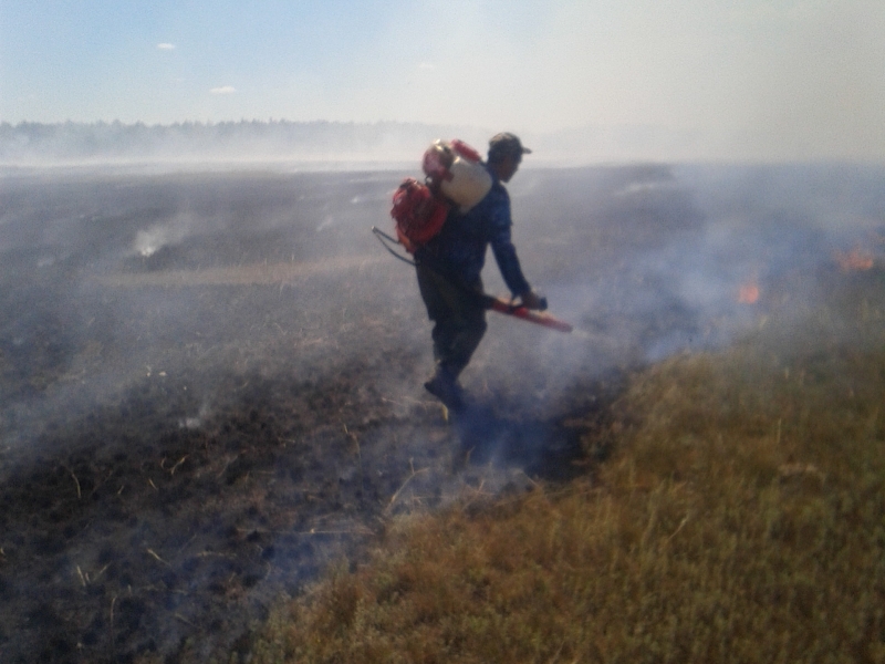 21 августа 2016 года на охраняемой территории Кенесского КГУ произошел пожар