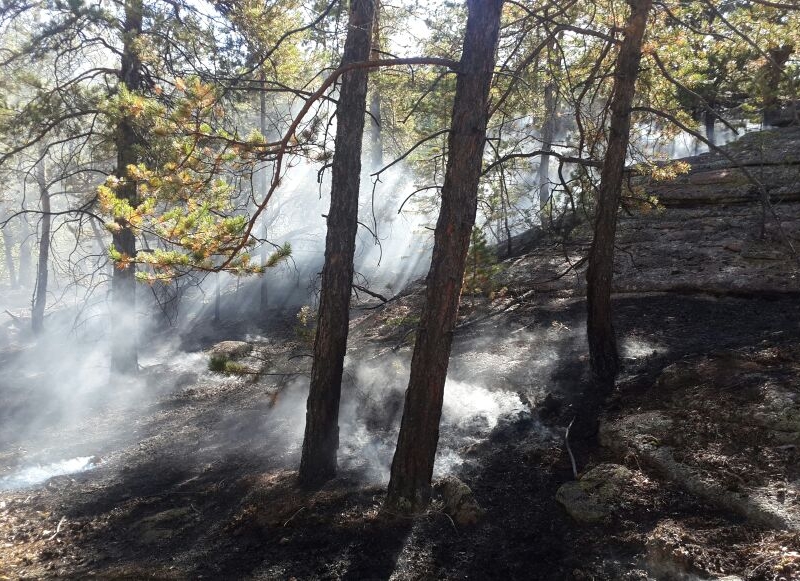 1 сентября 2016 года на охраняемой территории Каркаралинского ГНПП произошел пожар