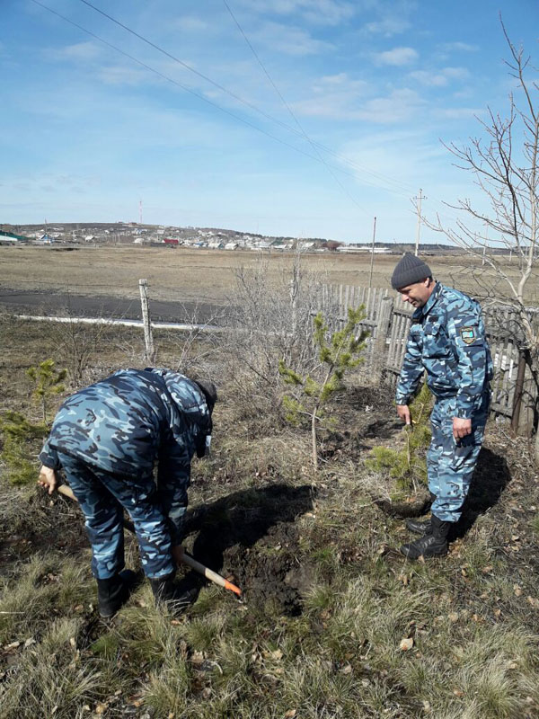 Работа по посадке деревьев 25 апреля Акмолинской авиагруппой.