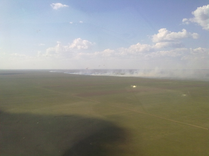 11 мая 2017 года на территории Карабидайского СО был обнаружен пожар.