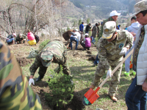 19 апреля 2015 года в рамках акции «Марш парков» прошло мероприятие - «Посади своё дерево»