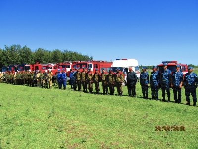 20 мая 2016 года на территории Талдыкорганского КГУ лесного хозяйства прошли совместные учения