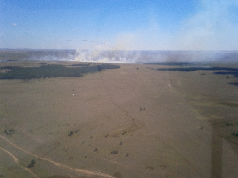 21 августа 2016 года на охраняемой территории Кенесского КГУ сотрудники Акмолинской области обнаружили пожар.