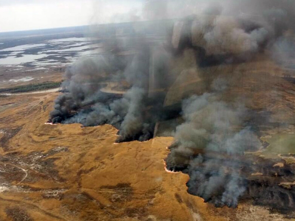 20 апреля 2017 года в районе Копбирлика на территории гзз был обнаружен пожар.