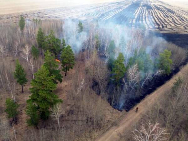 26 апреля 2017 года на территории ГНПП «Бурабай» был обнаружен пожар.