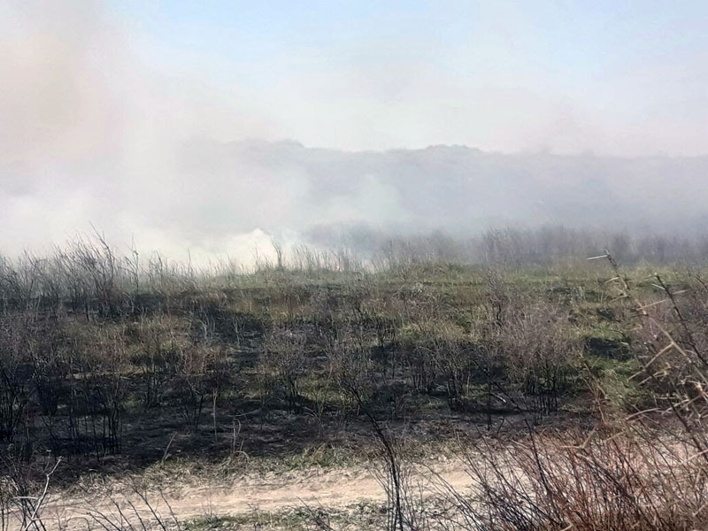 26 апреля 2017 года на территории Баканаского РГУ был обнаружен пожар.