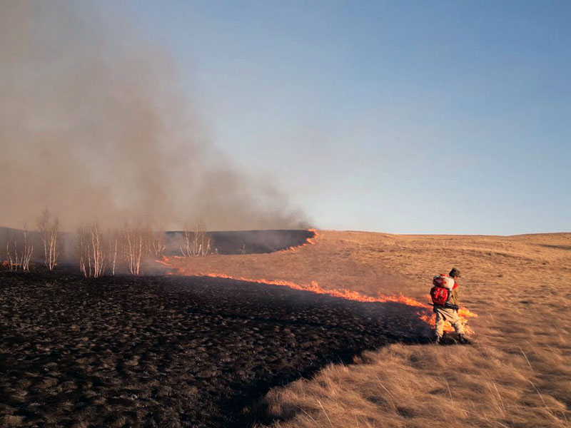28 апреля 2017 года на территории КГУ ЛХ «Акколь» был обнаружен крупный степной пожар.