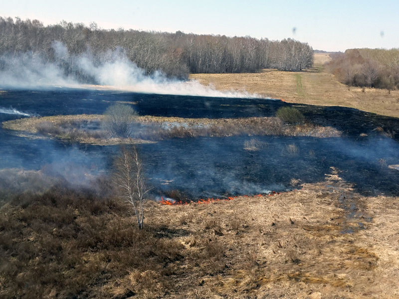 30 апреля 2017 года на территории ГНПП «Кокшетау» был обнаружен пожар.