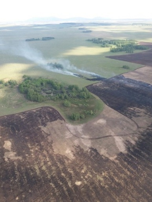 19 мая 2017 года на территории Аккольского сельского округа возник пожар.
