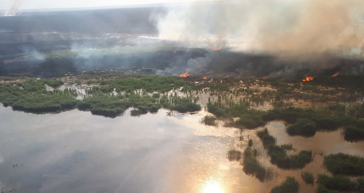 Пожар в озерах. Пожар у озера. Лесное озеро пожар. Озеро огня 2019. Пожар в районе озера Шошкала.
